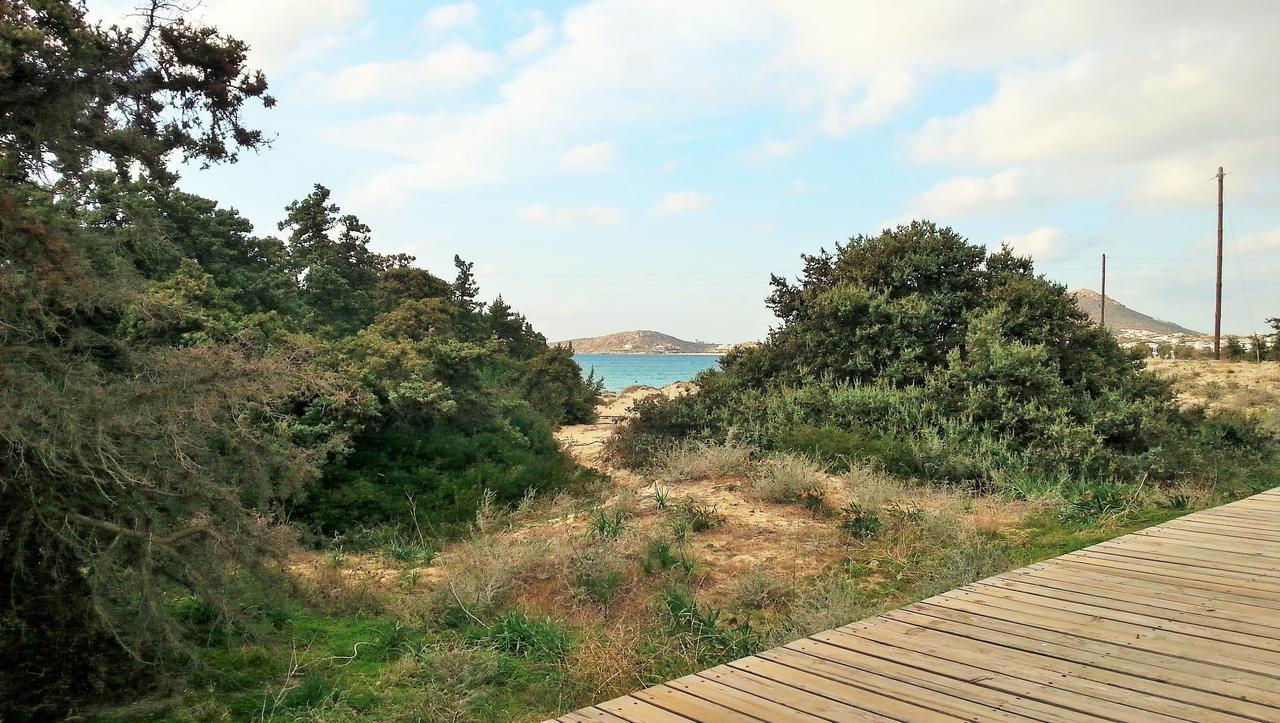 Orion Naxos Hotel Agia Anna  Exterior photo